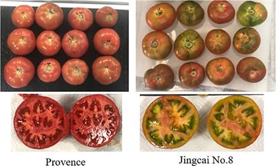 Determination of soluble solids content of multiple varieties of tomatoes by full transmission visible-near infrared spectroscopy